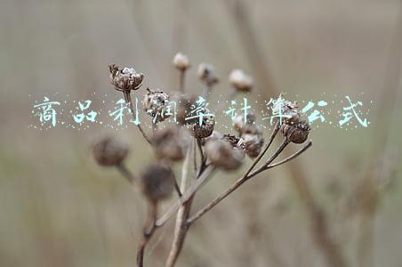 商品的利润率公式(投资利润率怎么算)