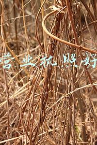 个人营业执照好办吗