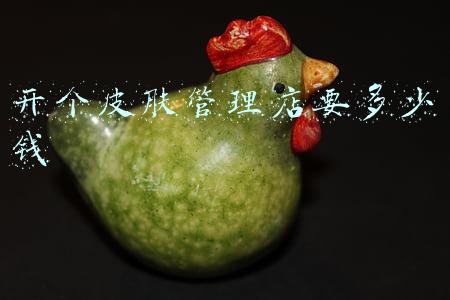 开皮肤管理店赚钱吗(现在做皮肤管理赚钱吗?)