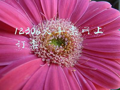 12306火车票网上订票