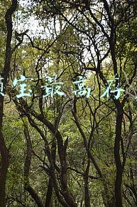 余额宝最高存多少