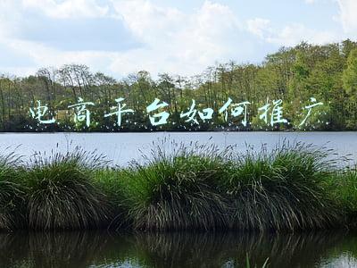 电商平台如何推广