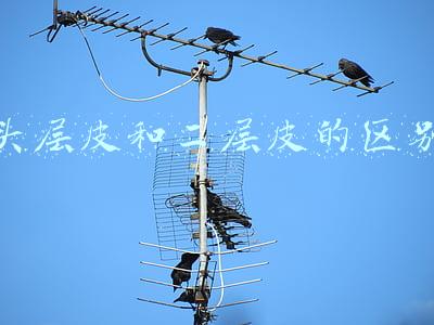 头层皮和二层皮的区别