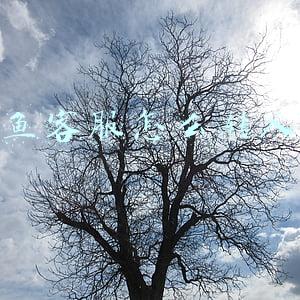 闲鱼客服怎么转人工