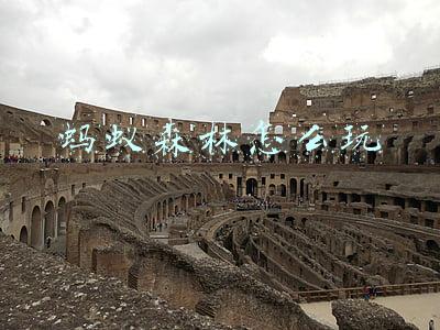 蚂蚁森林怎么玩
