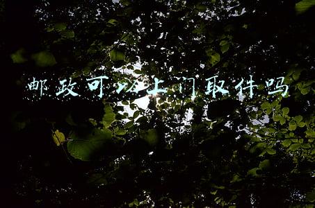 邮政可以上门取件吗(深圳罗湖：邮政快递企业今起停止入境邮件快件上门派送业务)