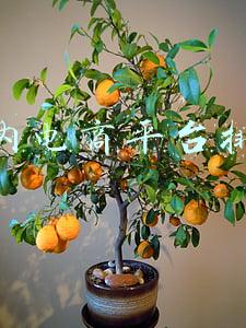 国内电商平台排名