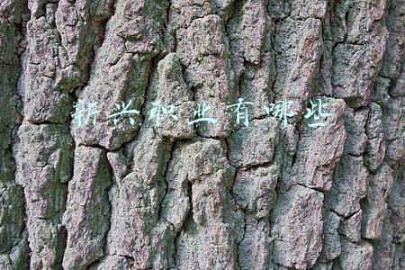 新兴职业有哪些