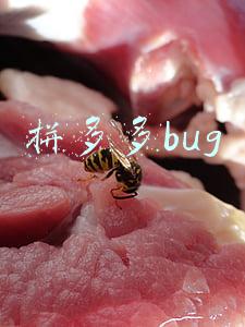 拼多多bug