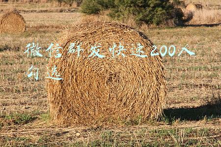 微信群发快速200人勾选