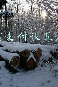 支付宝支付设置在哪里