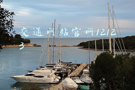 交通网站官网12123