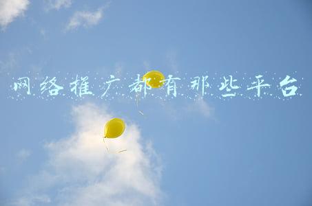网络推广都有那些平台
