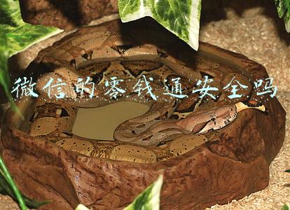 微信的零钱通安全吗