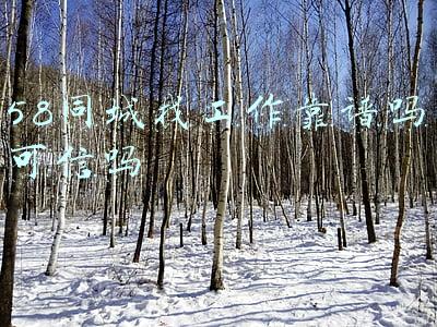 58同城找工作靠谱吗可信吗