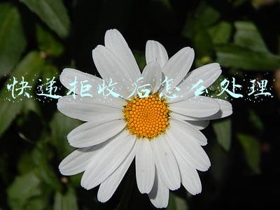 不是本人买的快递拒收后怎么处理(快递不送货上门，该如何维权？)