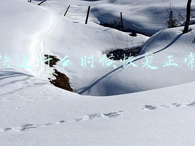 快递什么时候恢复正常速度2022(国家邮政局：1月中国快递发展指数为292.9，2022年快递市场平稳开局)