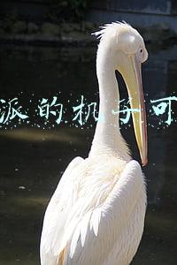 爱锋派的机子可靠吗
