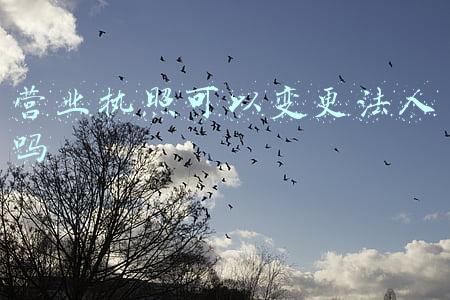 营业执照可以变更法人吗