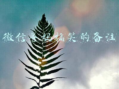 微信爸妈搞笑的备注