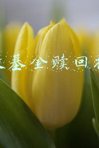 定投基金赎回技巧