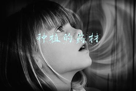 种植的药材
