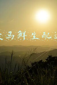 盒马鲜生配送
