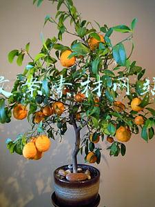 文案素材网站