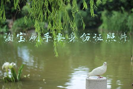 淘宝刷手要身份证照片