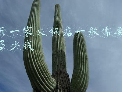 开一家火锅店一般需要多少钱 开一家火锅店一般需要多少钱