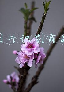 图片识别商品价格(36氪首发 | AI无人技术解决方案提供商「云拿科技」完成Pre-B轮融资，加速拓展全球无人零售市场)
