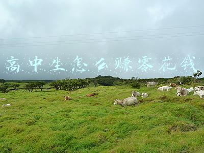 高中生怎么赚零花钱