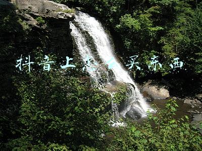 抖音上怎么买东西