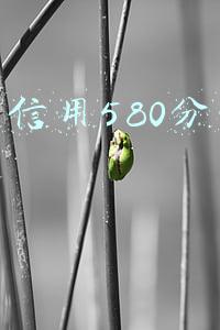 芝麻信用580分贷款口子