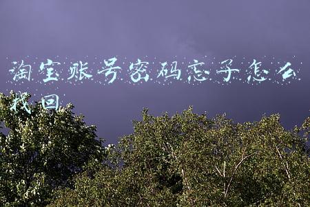 淘宝账号密码忘了怎么找回