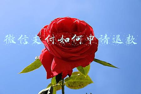 微信支付如何申请退款