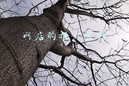 网店的推广营销