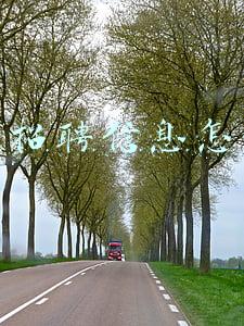 销售招聘信息怎么写