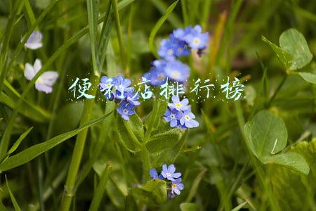 便利店排行榜 便利店排行榜