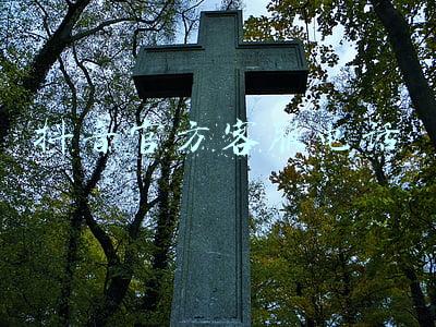 抖音官方客服电话