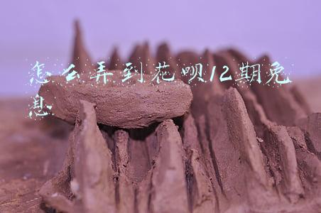 怎么弄到花呗12期免息