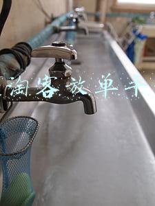大淘客放单平台