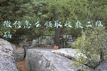 微信怎么领取收款二维码