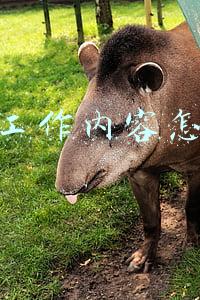 销售工作内容怎么写