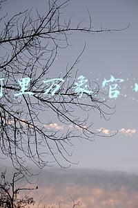 阿里万象官网