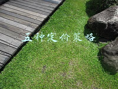 五种定价策略