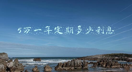 5万一年定期多少利息
