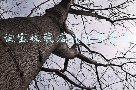淘宝收藏店铺在哪里找