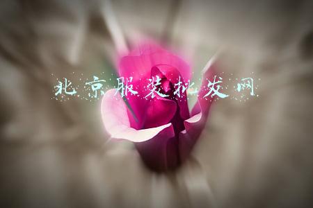 北京服装批发网