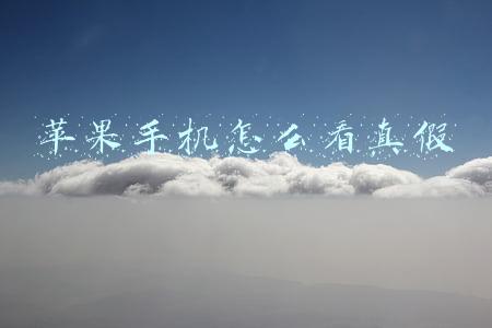 苹果手机怎么看真假